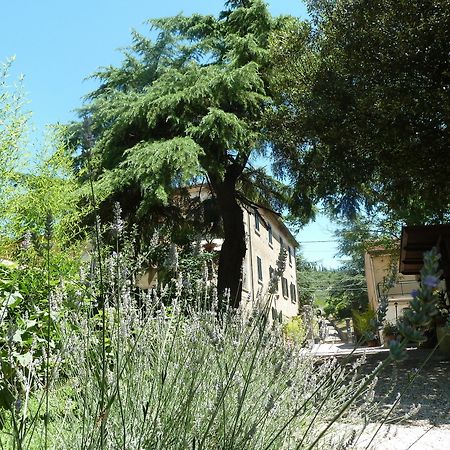 B&B Gabri Cortone Extérieur photo