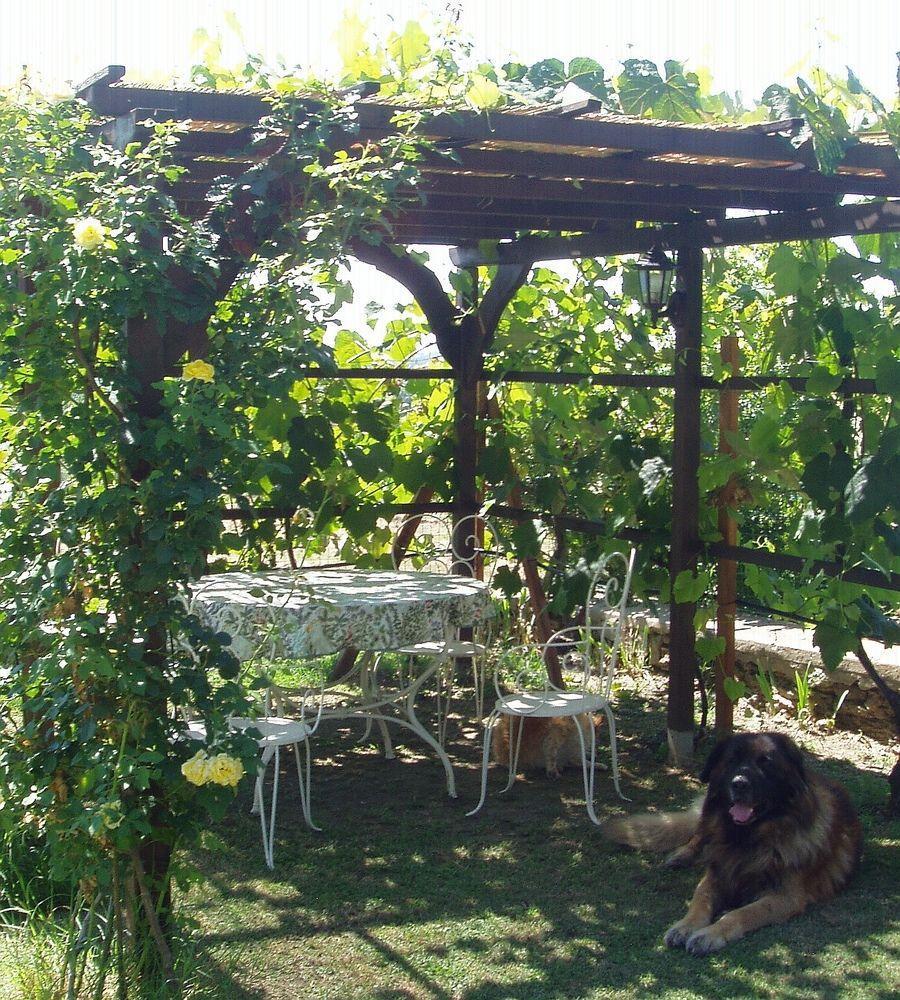 B&B Gabri Cortone Extérieur photo