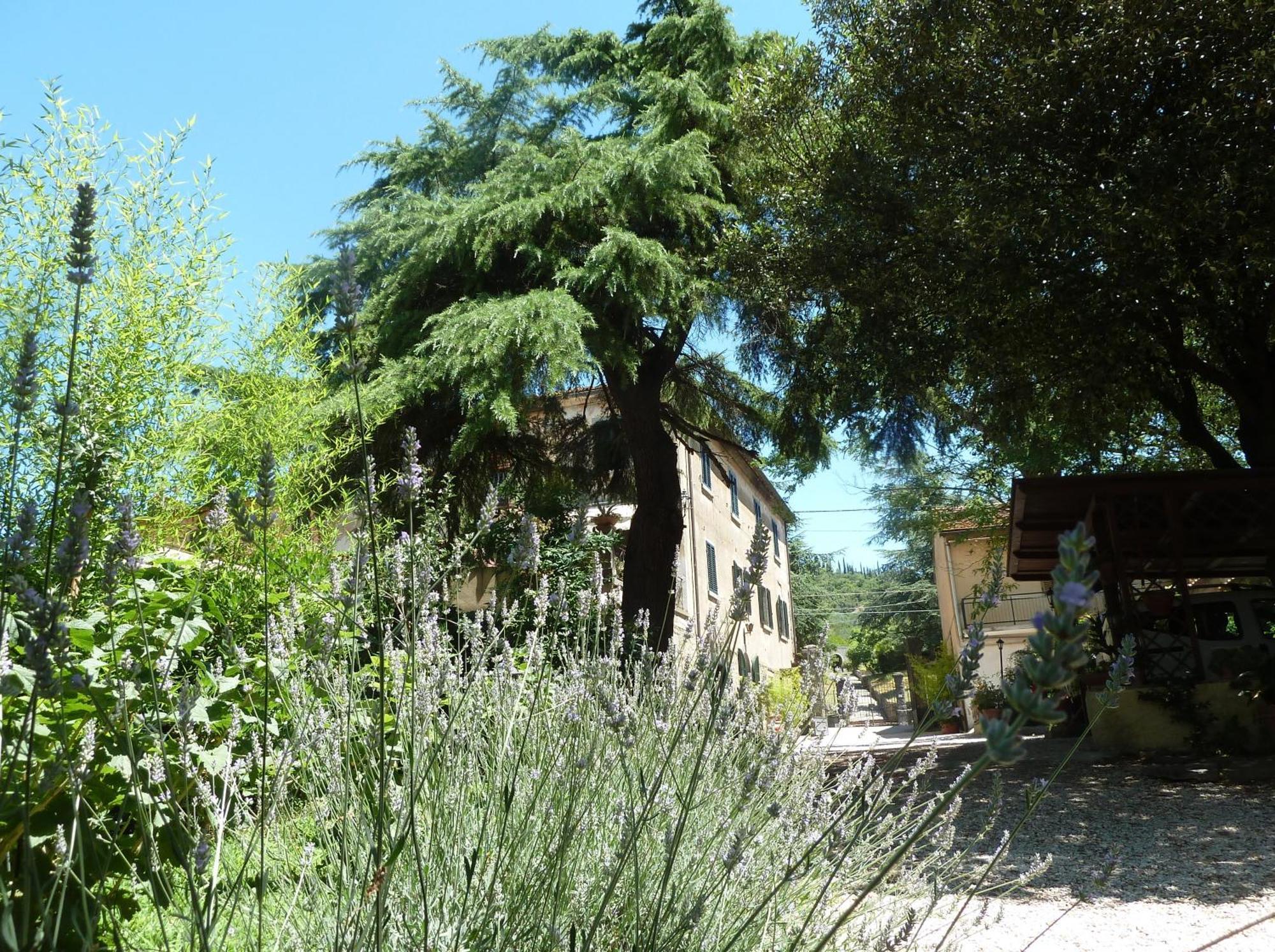 B&B Gabri Cortone Extérieur photo